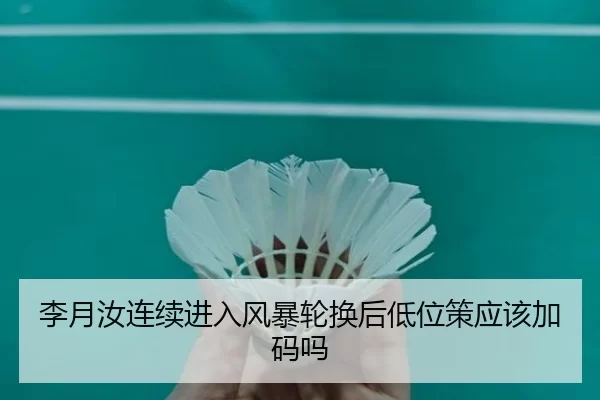李月汝连续进入风暴轮换后低位策应该加码吗